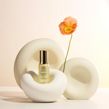 Load image into Gallery viewer, Concentrated Brightening Serum 2.0
