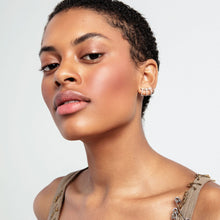 Load image into Gallery viewer, Color + Light High Intensity: Pressed
