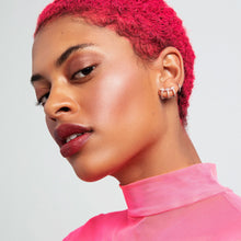 Load image into Gallery viewer, Color + Light High Intensity: Pressed
